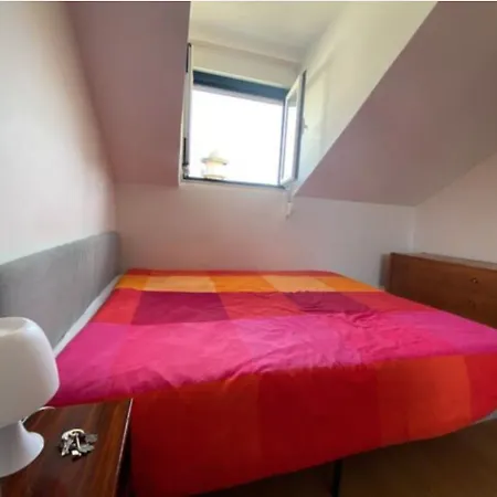 Welcoming In Flat With Terrace For Cat Lovers