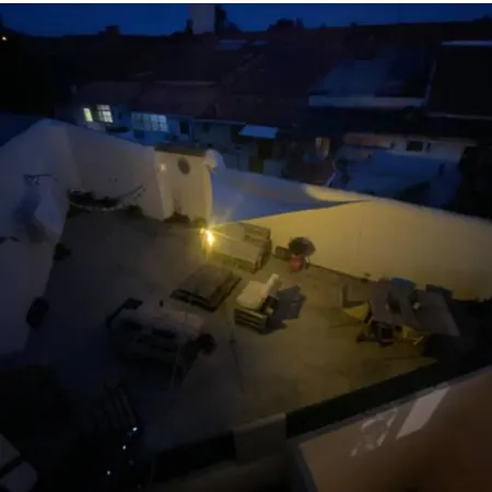 Homestay Welcoming In Flat With Terrace For Cat Lovers Lisbon