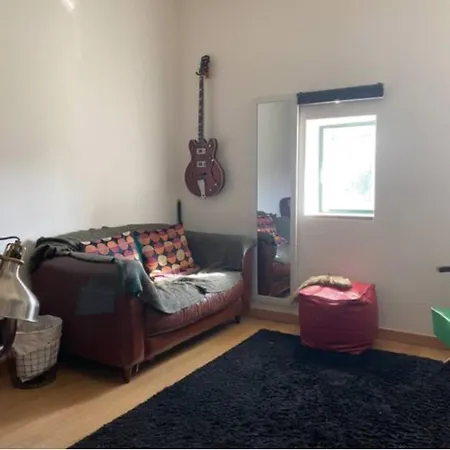 Homestay Welcoming In Flat With Terrace For Cat Lovers Lisbon
